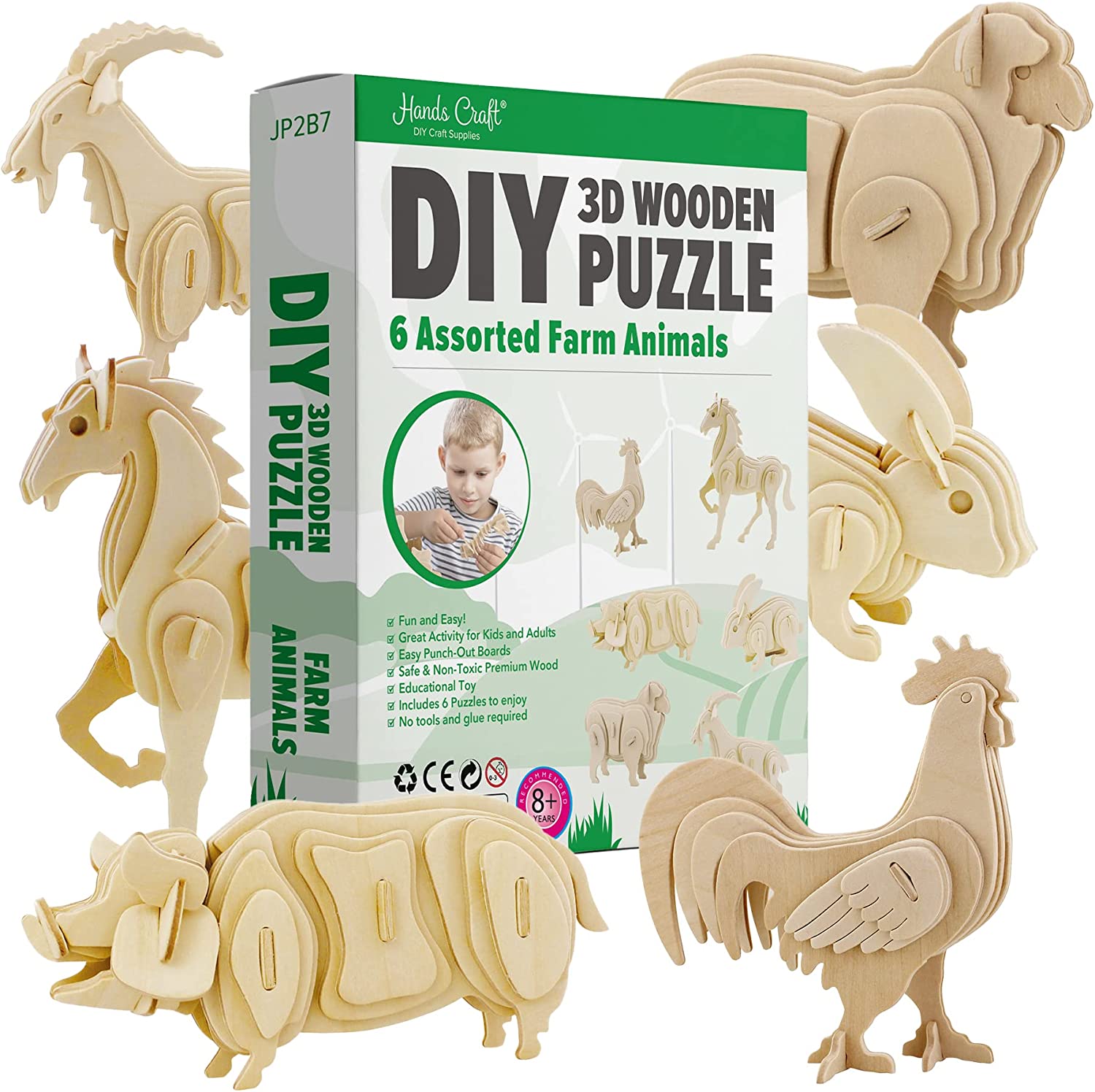 Hands Craft DIY 3D Wooden Puzzle Bundle Set